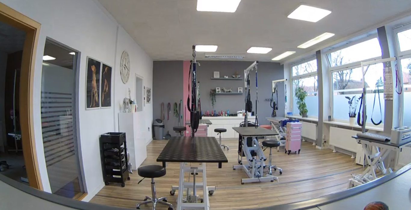 Hundesalon mit Behandlungsstühlen, Geräten und hellem, einladendem Design.